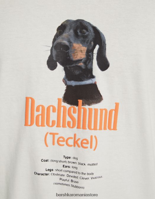 Bershka bărbați tricou cu mânecă scurtă cu potrivire normală imprimat aproape alb Z86D2721 îmbrăcăminte