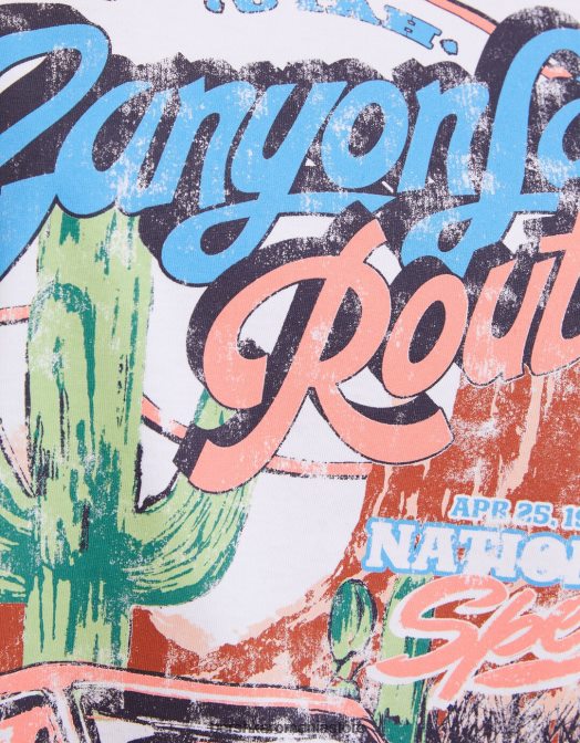 Bershka femei tricou cu maneca scurta cu imprimeu alb Z86D442 îmbrăcăminte